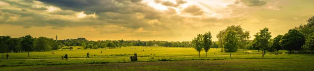 Cozy Farm Stay